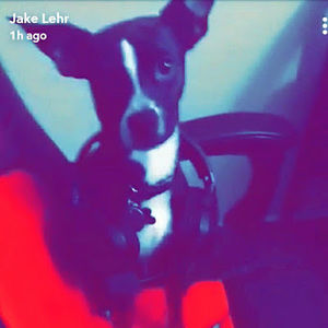 Meet your Posher, Jacob